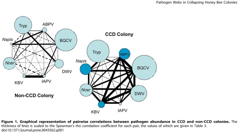 Pathogen Webs